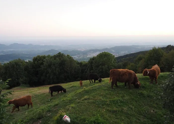 Agriturismo Croda Bianca