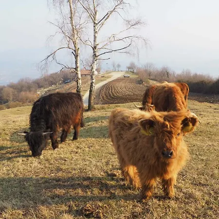 Agriturismo Croda Bianca * Cavaso Del Tomba